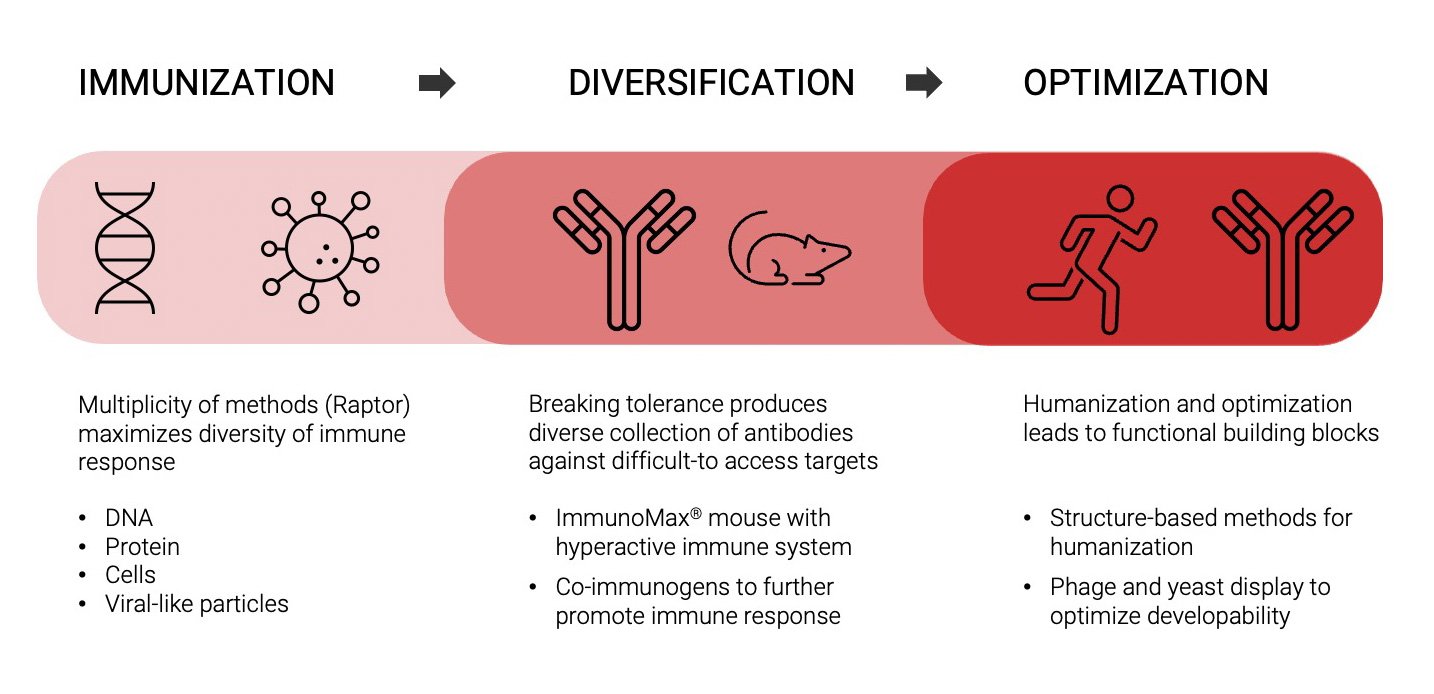 Diversimmune platform process